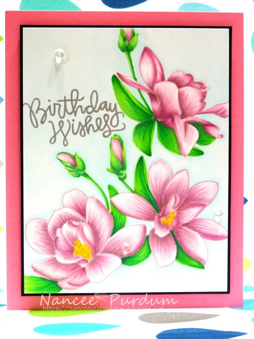 Birthday Cards-461