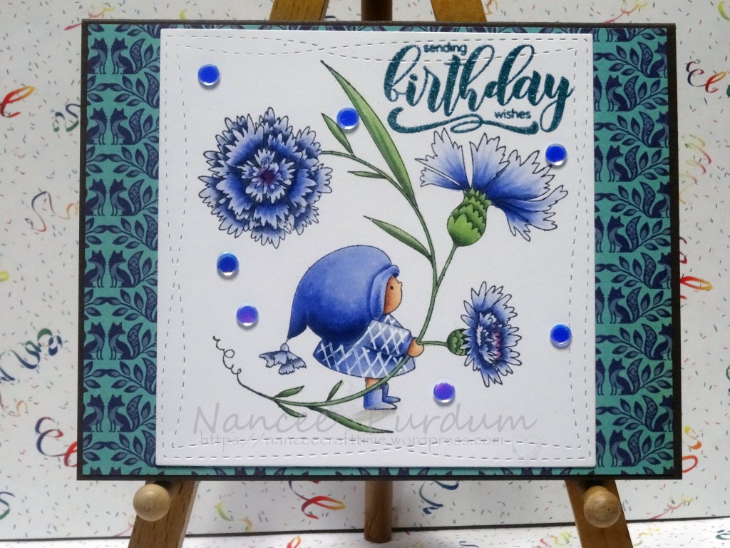 Bundle Cornflower Girl